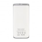 Power bank 4000 mAh | Birch